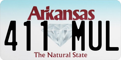 AR license plate 411MUL