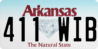 AR license plate 411WIB