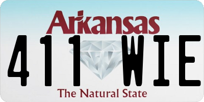AR license plate 411WIE