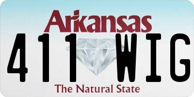 AR license plate 411WIG