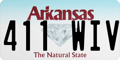 AR license plate 411WIV