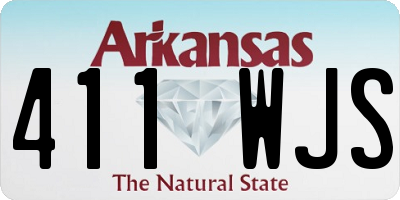 AR license plate 411WJS