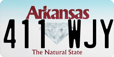 AR license plate 411WJY
