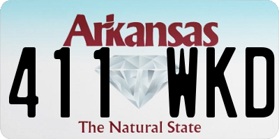 AR license plate 411WKD