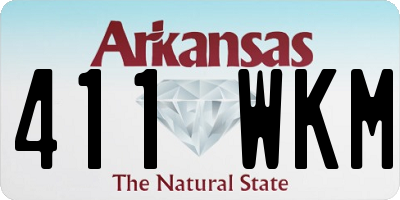 AR license plate 411WKM
