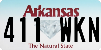 AR license plate 411WKN