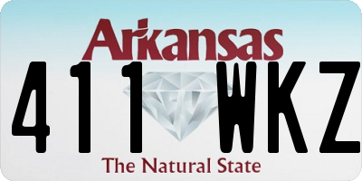 AR license plate 411WKZ