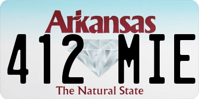 AR license plate 412MIE