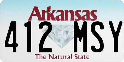 AR license plate 412MSY