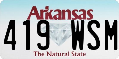 AR license plate 419WSM