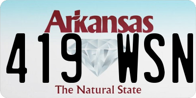 AR license plate 419WSN