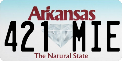 AR license plate 421MIE