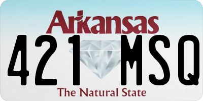 AR license plate 421MSQ