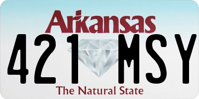 AR license plate 421MSY