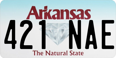 AR license plate 421NAE