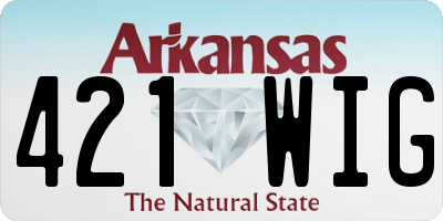 AR license plate 421WIG