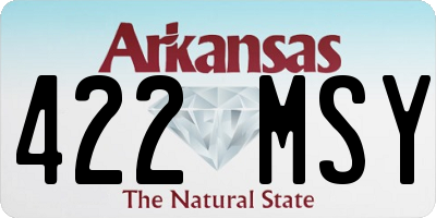 AR license plate 422MSY