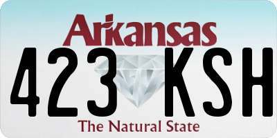 AR license plate 423KSH