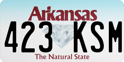 AR license plate 423KSM