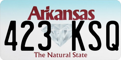 AR license plate 423KSQ
