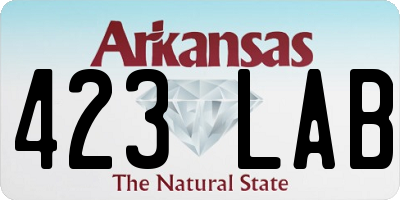 AR license plate 423LAB