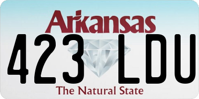 AR license plate 423LDU