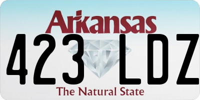 AR license plate 423LDZ
