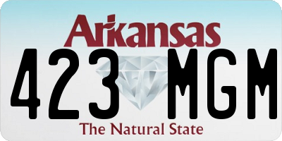 AR license plate 423MGM