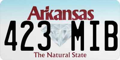 AR license plate 423MIB