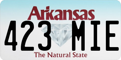 AR license plate 423MIE