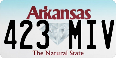 AR license plate 423MIV