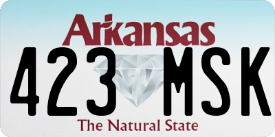 AR license plate 423MSK