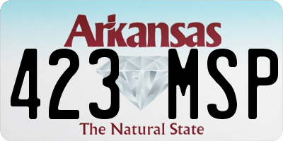 AR license plate 423MSP