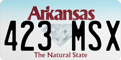AR license plate 423MSX