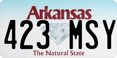AR license plate 423MSY