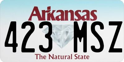 AR license plate 423MSZ