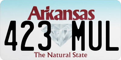 AR license plate 423MUL