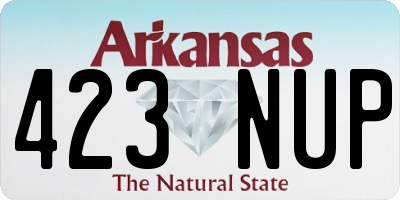 AR license plate 423NUP