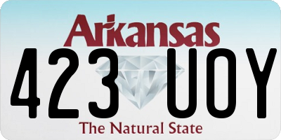 AR license plate 423UOY