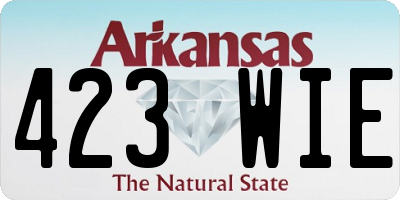 AR license plate 423WIE