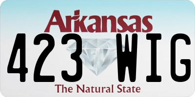 AR license plate 423WIG