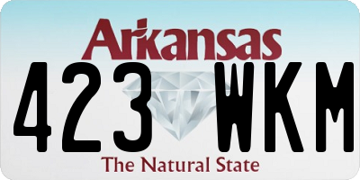 AR license plate 423WKM