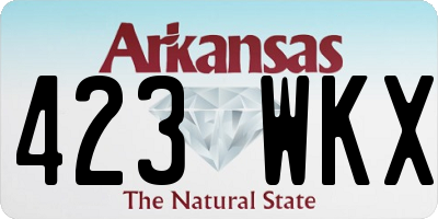 AR license plate 423WKX