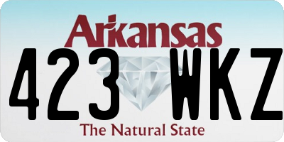AR license plate 423WKZ