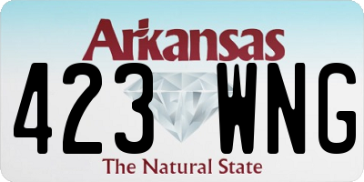 AR license plate 423WNG