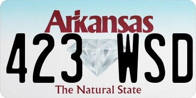 AR license plate 423WSD