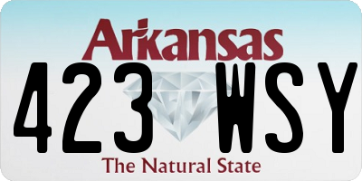 AR license plate 423WSY
