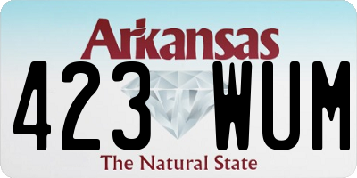 AR license plate 423WUM