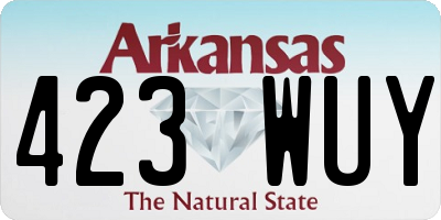 AR license plate 423WUY