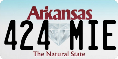 AR license plate 424MIE